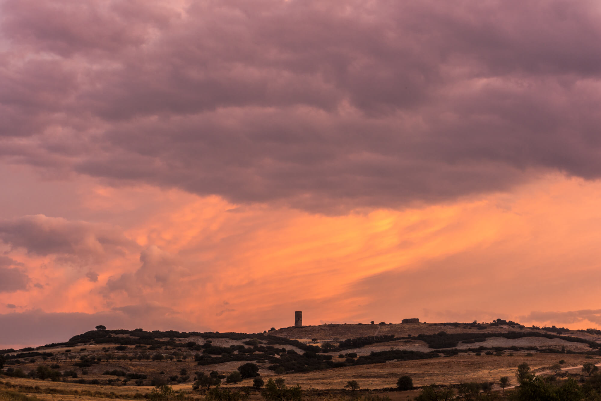 pILAR D'aLMENARA