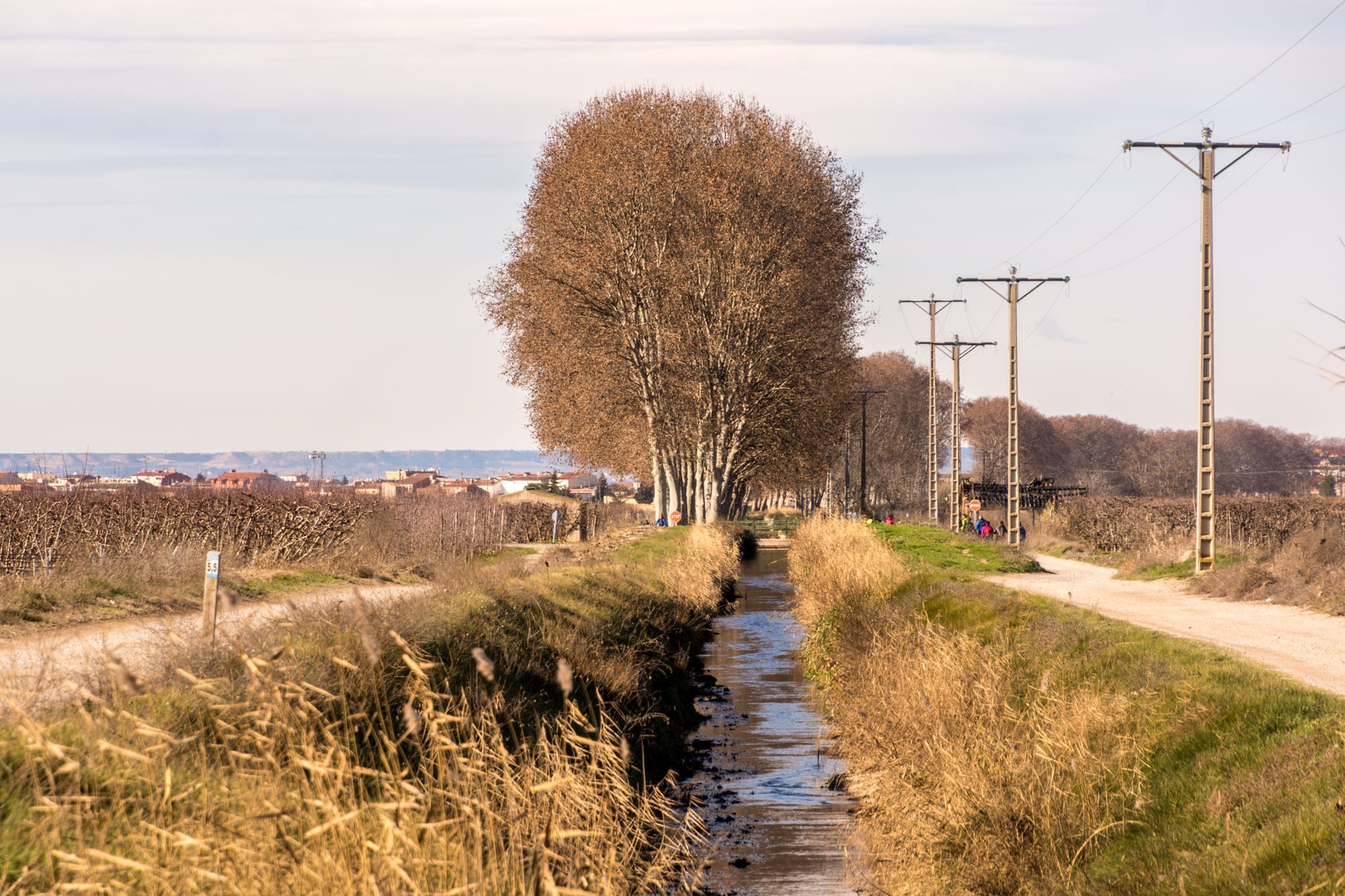 Foto del Canal d'Urgell_Foto de Ramon Oromí