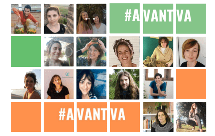 Collage presentació Avantva