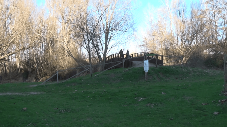 Parc del riu de Corbins