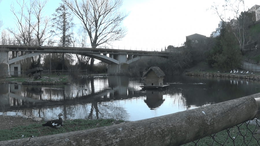 Parc del riu de Corbins